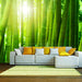 Wall Mural - Zon en Bamboe 200x154cm - Non-Woven Murals