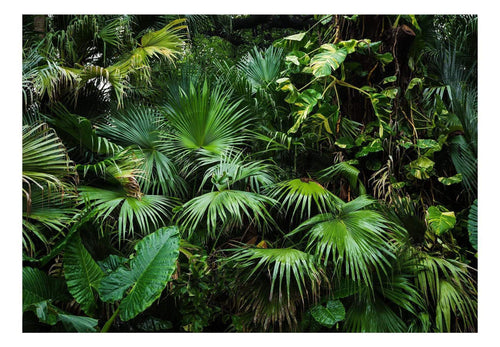 Wall Mural - Sunny Jungle 400x280cm - Non-Woven Murals