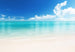 Wall Mural - The Beach 366x254cm - Paper Wallpaper