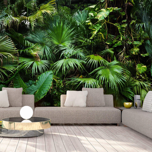 Wall Mural - Sunny Jungle 300x210cm - Non-Woven Murals