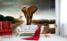 Wall Mural - Walking Elephant 375x250cm - Non-Woven Murals