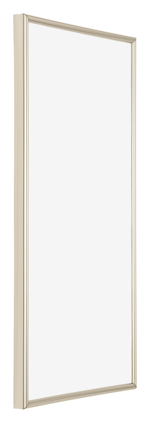 Annecy Plastic Photo Frame 20x40cm Champagne Front Oblique | Yourdecoration.co.uk