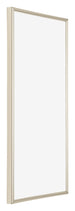 Annecy Plastic Photo Frame 20x40cm Champagne Front Oblique | Yourdecoration.co.uk