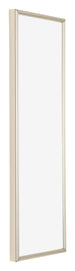 Annecy Plastic Photo Frame 20x60cm Champagne Front Oblique | Yourdecoration.co.uk