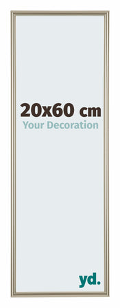 Annecy Plastic Photo Frame 20x60cm Champagne Front Size | Yourdecoration.co.uk