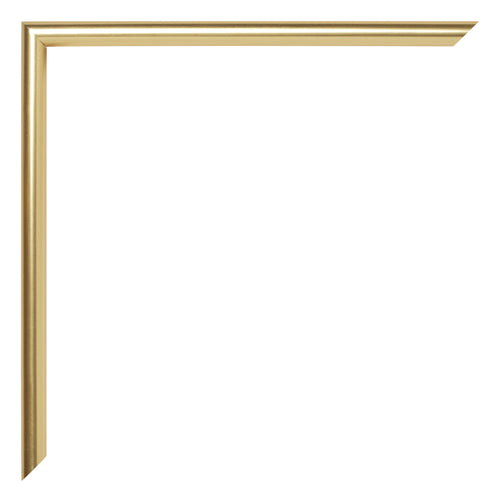 Annecy Plastic Photo Frame 20x60cm Gold Detail Corner | Yourdecoration.co.uk