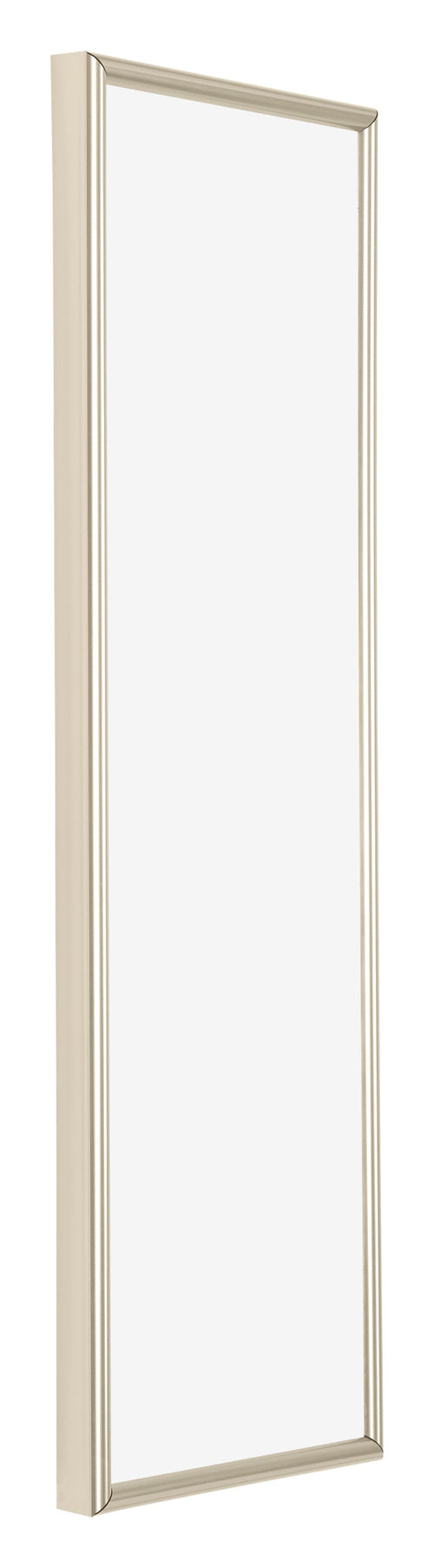 Annecy Plastic Photo Frame 33x98cm Champagne Front Oblique | Yourdecoration.co.uk