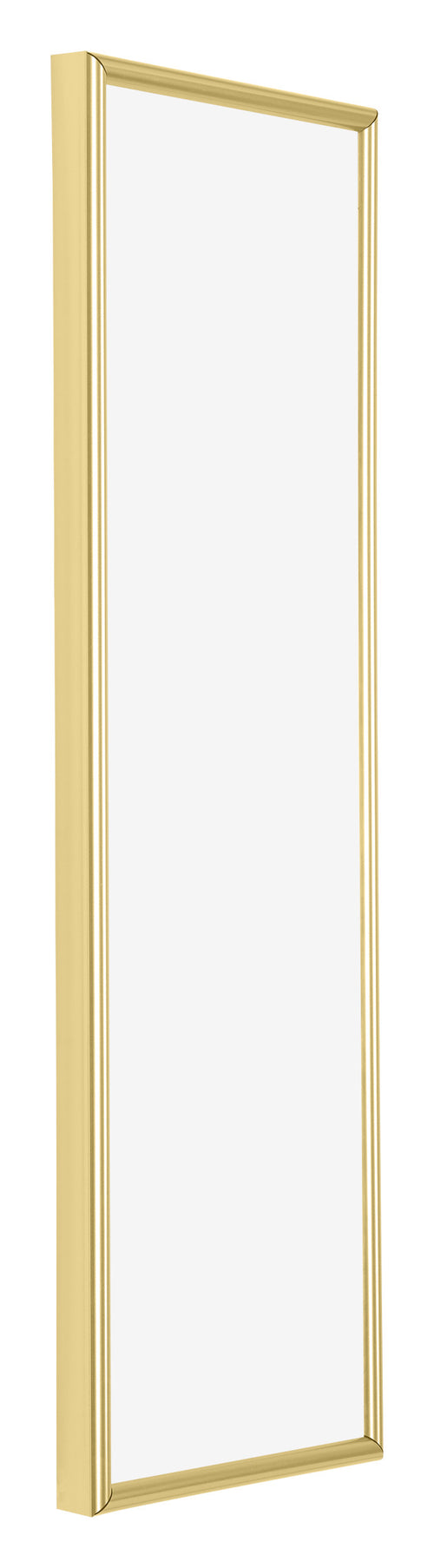 Annecy Plastic Photo Frame 33x98cm Gold Front Oblique | Yourdecoration.co.uk