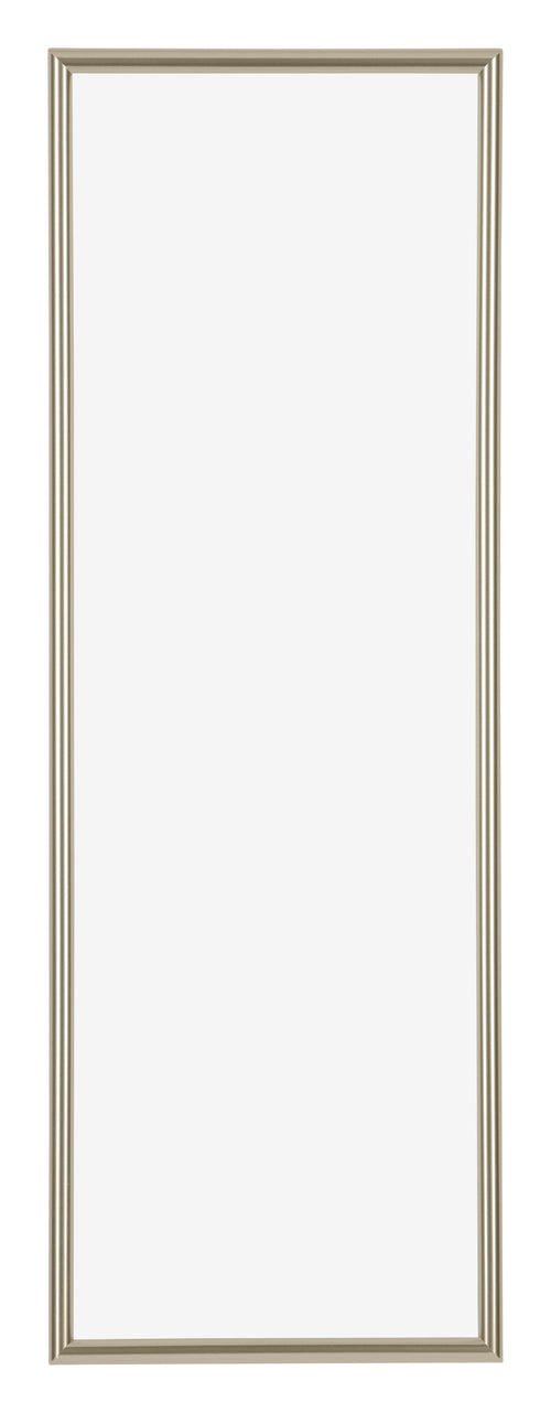 Annecy Plastic Photo Frame 37 5x98cm Champagne Front | Yourdecoration.co.uk