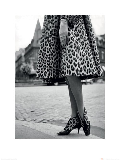 Art Print Time Life Dior Leoparprint 60x80cm Pyramid PPR40468 | Yourdecoration.co.uk