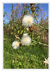 Aurora Aluminium Photo Frame 29 7x42cm A3 set of 2 White Front Photo | Yourdecoration.co.uk