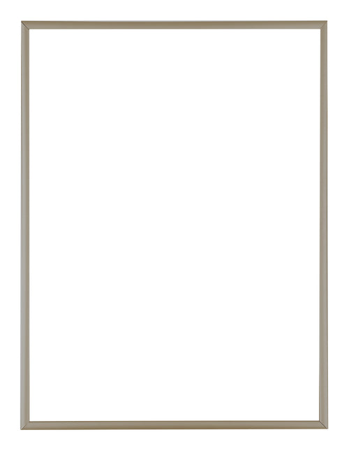 Austin Aluminium Photo Frame 18x24cm Champagne Front | Yourdecoration.co.uk