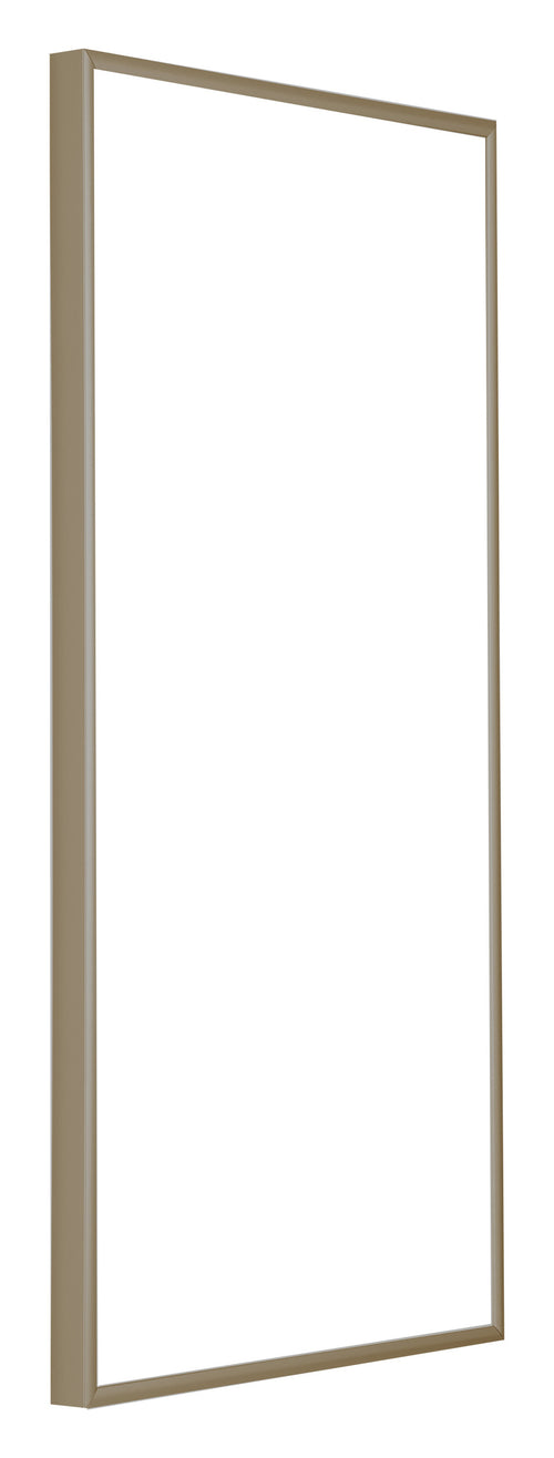 Austin Aluminium Photo Frame 20x40cm Champagne Front Oblique | Yourdecoration.co.uk