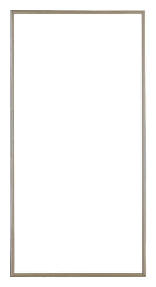 Austin Aluminium Photo Frame 20x40cm Champagne Front | Yourdecoration.co.uk