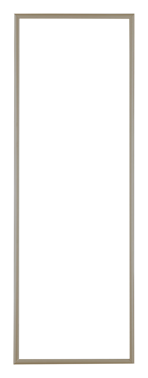 Austin Aluminium Photo Frame 20x60cm Champagne Front | Yourdecoration.co.uk