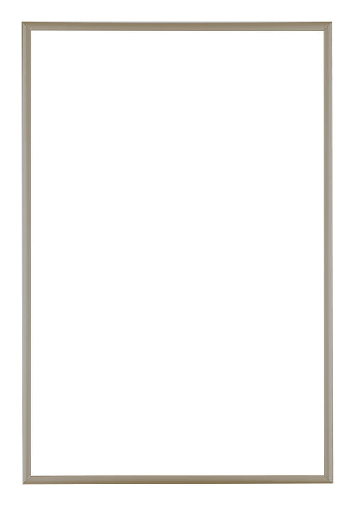 Austin Aluminium Photo Frame 40x60cm Champagne Front | Yourdecoration.co.uk