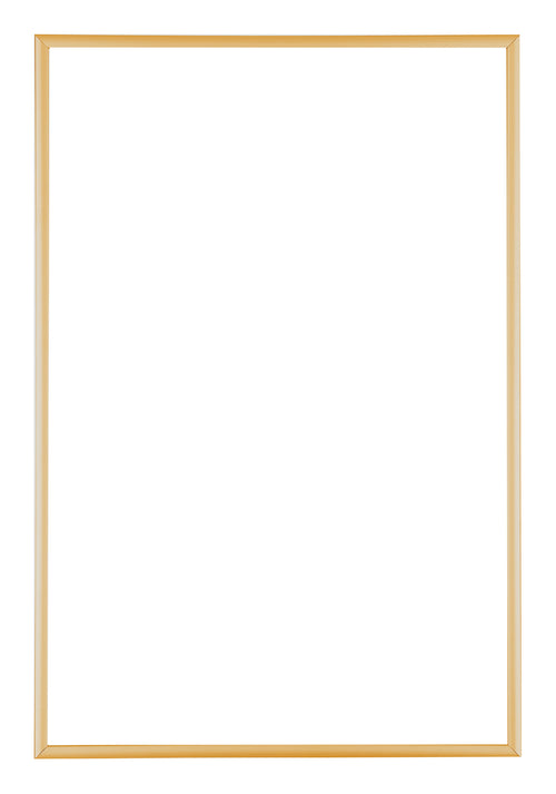 Austin Aluminium Photo Frame 60x90cm Gold Vintage Front | Yourdecoration.co.uk