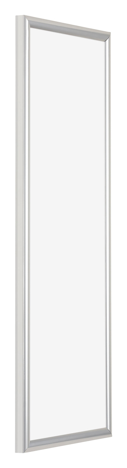 Bordeaux Plastic Photo Frame 37 5x98cm Silver Front Oblique | Yourdecoration.co.uk