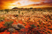 Dimex Australian Landscape Wall Mural 375x250cm 5 Panels | Yourdecoration.co.uk