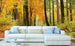 Dimex Autumn Forest Wall Mural 375x250cm 5 Panels Ambiance | Yourdecoration.co.uk