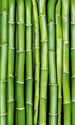 Dimex Bamboo Wall Mural 150x250cm 2 Panels | Yourdecoration.co.uk