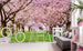 Dimex Cherry Trees Wall Mural 375x250cm 5 Panels Ambiance | Yourdecoration.co.uk