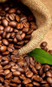 Dimex Coffee beans Wall Mural 150x250cm 2 Panels | Yourdecoration.co.uk