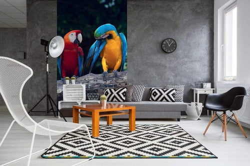 Dimex Colourful Macaw Wall Mural 150x250cm 2 Panels Ambiance | Yourdecoration.co.uk