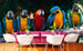 Dimex Colourful Macaw Wall Mural 375x250cm 5 Panels Ambiance | Yourdecoration.co.uk