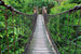 Dimex Footbridge Wall Mural 375x250cm 5 Panels | Yourdecoration.co.uk