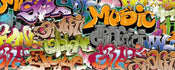 Dimex Graffiti Art Wall Mural 375x150cm 5 Panels | Yourdecoration.co.uk