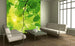 Dimex Green Leaves Wall Mural 225x250cm 3 Panels Ambiance | Yourdecoration.co.uk