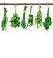 Dimex Herbs Wall Mural 225x250cm 3 Panels | Yourdecoration.co.uk