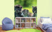 Dimex Kittens Wall Mural 225x250cm 3 Panels Ambiance | Yourdecoration.co.uk