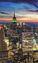 Dimex New York Skyscrapers Wall Mural 150x250cm 2 Panels | Yourdecoration.co.uk