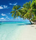 Dimex Paradise Beach Wall Mural 225x250cm 3 Panels | Yourdecoration.co.uk