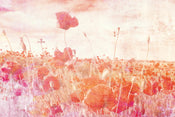 Dimex Poppies Abstract Wall Mural 375x250cm 5 Panels | Yourdecoration.co.uk