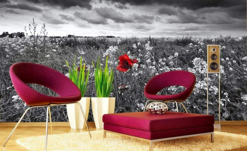 Dimex Poppies Black Wall Mural 375x250cm 5 Panels Ambiance | Yourdecoration.co.uk