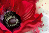 Dimex Poppy Wall Mural 375x250cm 5 Panels | Yourdecoration.co.uk