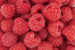 Dimex Raspberry Wall Mural 375x250cm 5 Panels | Yourdecoration.co.uk