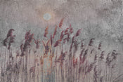 Dimex Reed Abstract Wall Mural 375x250cm 5 Panels | Yourdecoration.co.uk