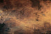 Dimex Scratched Copper Wall Mural 375x250cm 5 Panels | Yourdecoration.co.uk