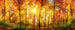 Dimex Sunny Forest Wall Mural 375x150cm 5 Panels | Yourdecoration.co.uk