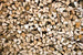 Dimex Timber Logs Wall Mural 375x250cm 5 Panels | Yourdecoration.co.uk