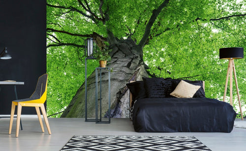 Dimex Treetop Wall Mural 375x250cm 5 Panels Ambiance | Yourdecoration.co.uk