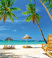 Dimex Tropical Beach Wall Mural 225x250cm 3 Panels | Yourdecoration.co.uk