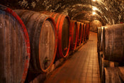 Dimex Wine Barrel Wall Mural 375x250cm 5 Panels | Yourdecoration.co.uk