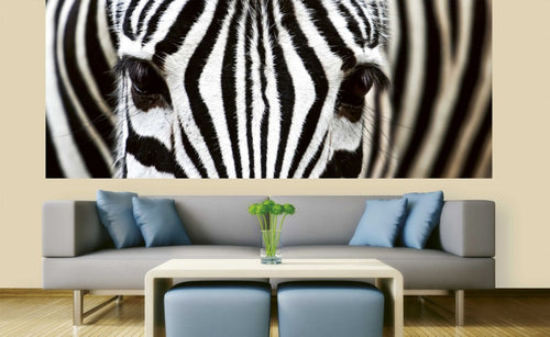 Dimex Zebra Wall Mural 375x150cm 5 Panels Ambiance | Yourdecoration.co.uk