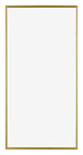 Evry Plastic Photo Frame 20x40cm Gold Front | Yourdecoration.co.uk