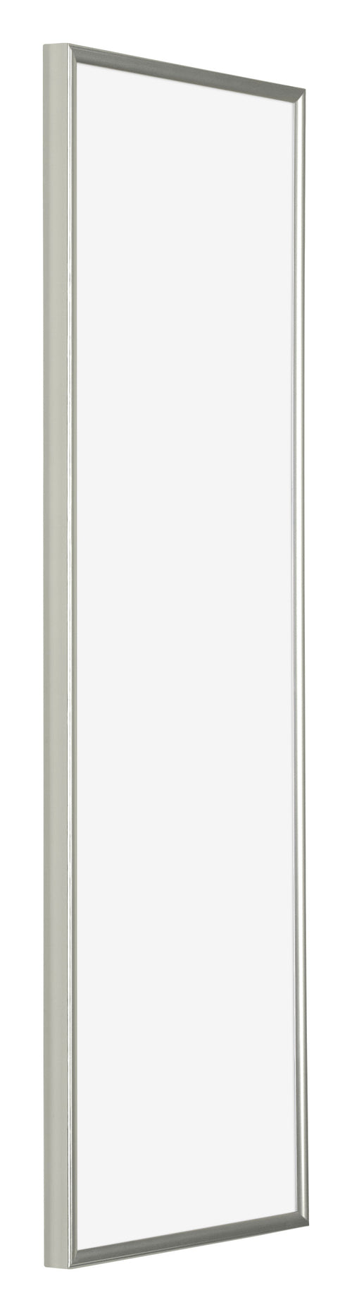 Evry Plastic Photo Frame 20x60cm Champagne Front Oblique | Yourdecoration.co.uk